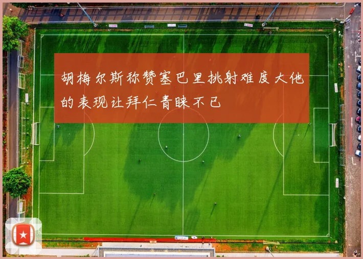 胡梅尔斯称赞塞巴里挑射难度大他的表现让拜仁青睐不已