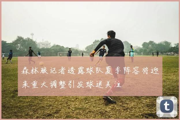 森林狼记者透露球队夏季阵容将迎来重大调整引发球迷关注