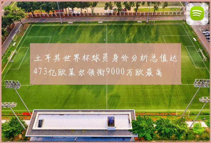 土耳其世界杯球员身价分析总值达473亿欧莱尔领衔9000万欧最高