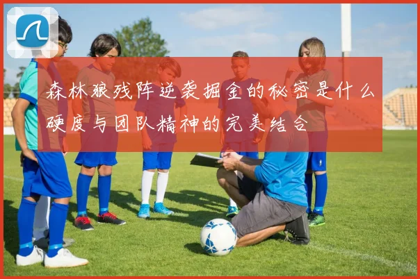 森林狼残阵逆袭掘金的秘密是什么硬度与团队精神的完美结合